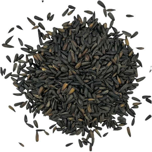 Sonnenblumenkerne micro schwarz 1kg