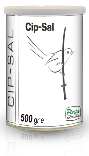 Pineta Cip Sal 100g