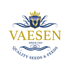 Vaesen 