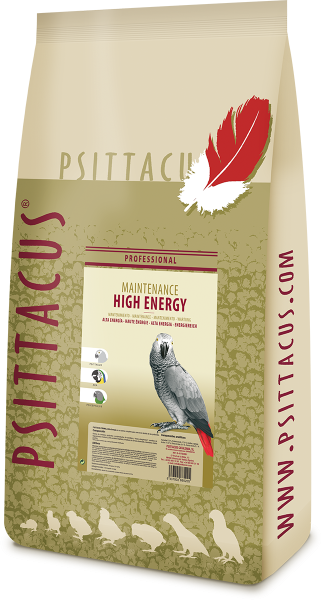 Psittacus High Energy Starter-Set