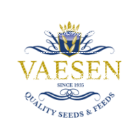 Vaesen