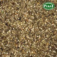 DV24 Schau Wellensittiche "Jo Mannes" 1kg
