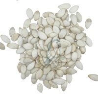 Kürbiskerne weiß 1kg