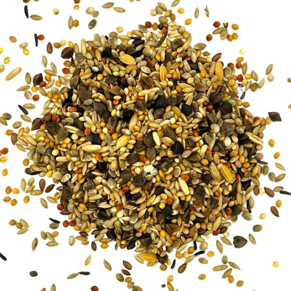 Australische Sittiche 800g
