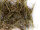 Nestmaterial Sisal Fibre 36PS Nestmaterial für Agaporniden 250g