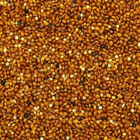 Hirse rot 1kg