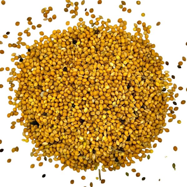 Hirse gelb 1kg - Plata Hirse