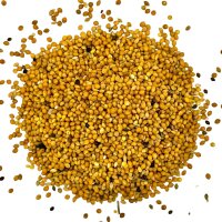 Hirse gelb 1kg - Plata Hirse