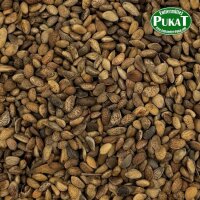 Kiefernsamen grob weich 500g