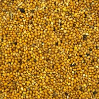 Hirse gelb 500g - Plata Hirse