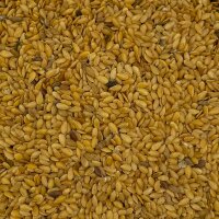 Leinsaat hell 500g