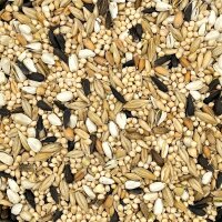 Pukis Keimfutter Sittiche/Parrot (gekeimt, getrocknet) 500g