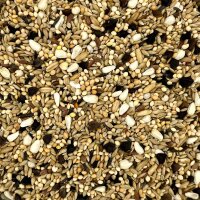 Prestige Großsittiche - Sperlingspapageien 1kg