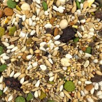 Australian Parrot Mix 1kg
