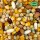 Papageien Dinner Mix 1kg