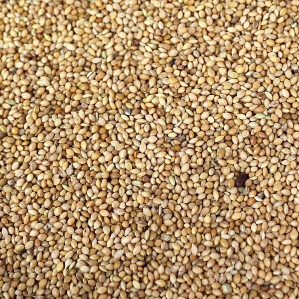 Senegalhirse 1kg