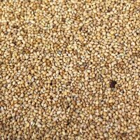 Senegalhirse 1kg