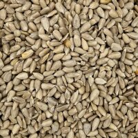 Sonnenblumenkerne geschält 500g