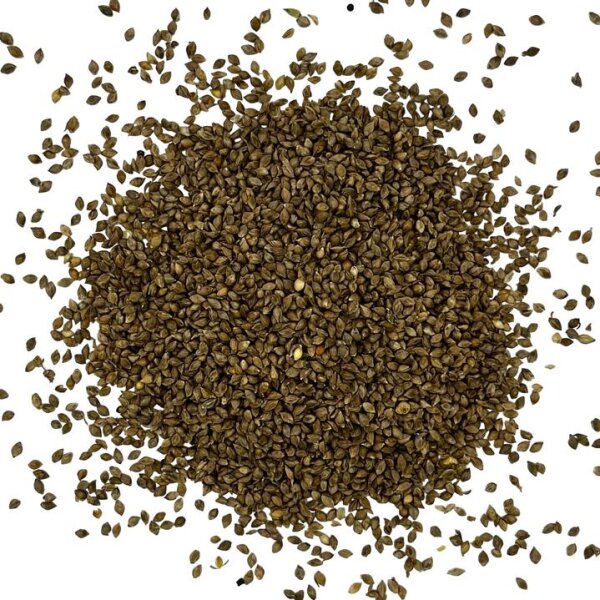 Japanhirse 500g