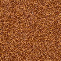 Gold of Pleasure (Leindottersamen) 400g