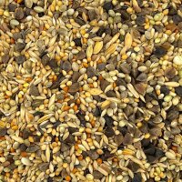 Agaporniden Spezial 800g