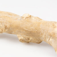 Sitzstange aus Kaffeeholz XL 50cm