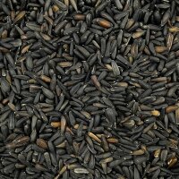 Sonnenblumenkerne micro schwarz 500g