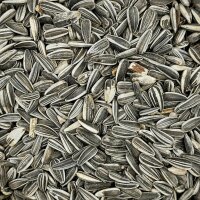 Sonnenblumenkerne gestreift 200g