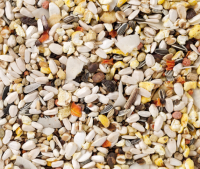 Deli Nature Nr. 64 Papageien Supreme Früchte 15kg