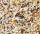Deli Nature Nr. 64 Papageien Supreme Früchte 15kg