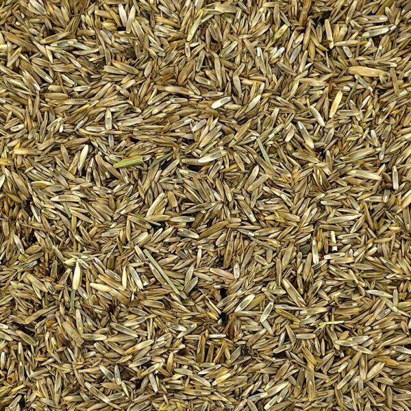 Grassamen Standard 400g