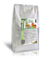 Pineta Parrocchetti 800g