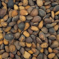 Zirbelnüsse 1kg