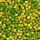 Ornitalia Perle Morbide Frutis Grün 900g (lose)